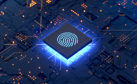 Chip di sicurezza per la memorizzazione sicura dei dati biometrici dell'impronta digitale
